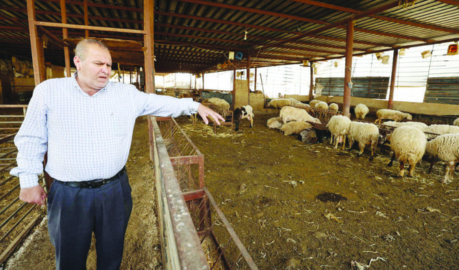 Palestine Farmers- Sound Alarm Over Foot-And-Mouth Outbreak.