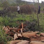 CSO’s Endorse Forestry Amendment Act