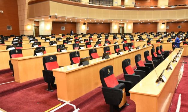 Silence in the Chamber: The Consequences of Mute MPs