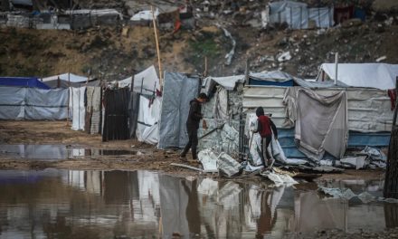 GAZA IS BLEEDING IN BROAD DAYLIGHT: How Many Cries Must the World Ignore?