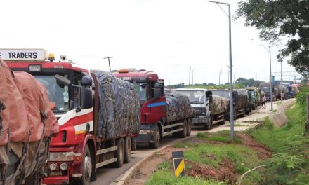 The Politics and Pain of Malawi’s Economic Recovery Plan (NERP)